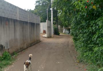 Sao Jose dos Campos Bairro da Pernambucana Rural Venda R$880.000,00 1 Dormitorio 10 Vagas Area do terreno 2300.00m2 