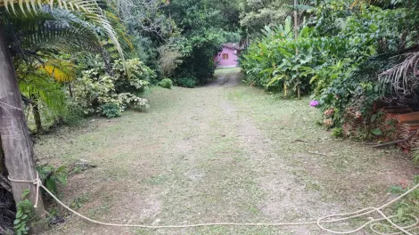Caraguatatuba Jardim Progresso Area Venda R$2.000.000,00  Area do terreno 40000.00m2 