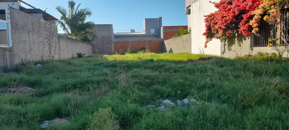 Comprar Terreno / &Aacute;rea em Pelotas R$ 215.000,00 - Foto 1
