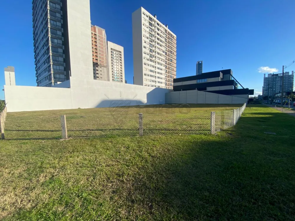 Comprar Terreno / Padr&atilde;o em Pelotas R$ 2.650.000,00 - Foto 1