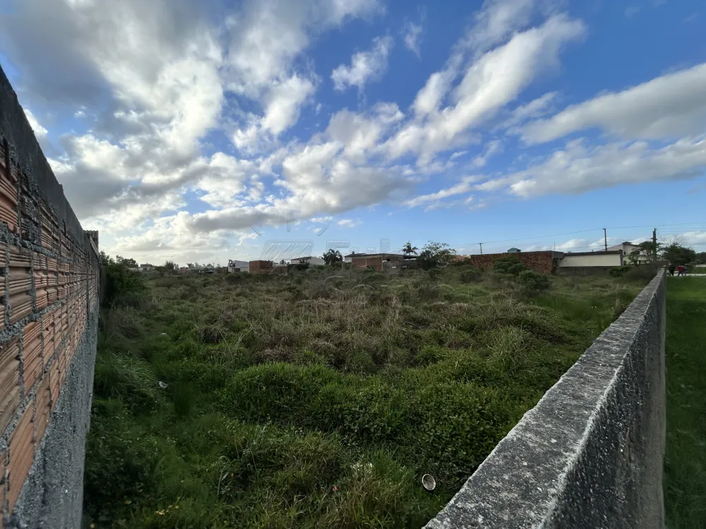 Comprar Terreno / Padr&atilde;o em Pelotas R$ 900.000,00 - Foto 1