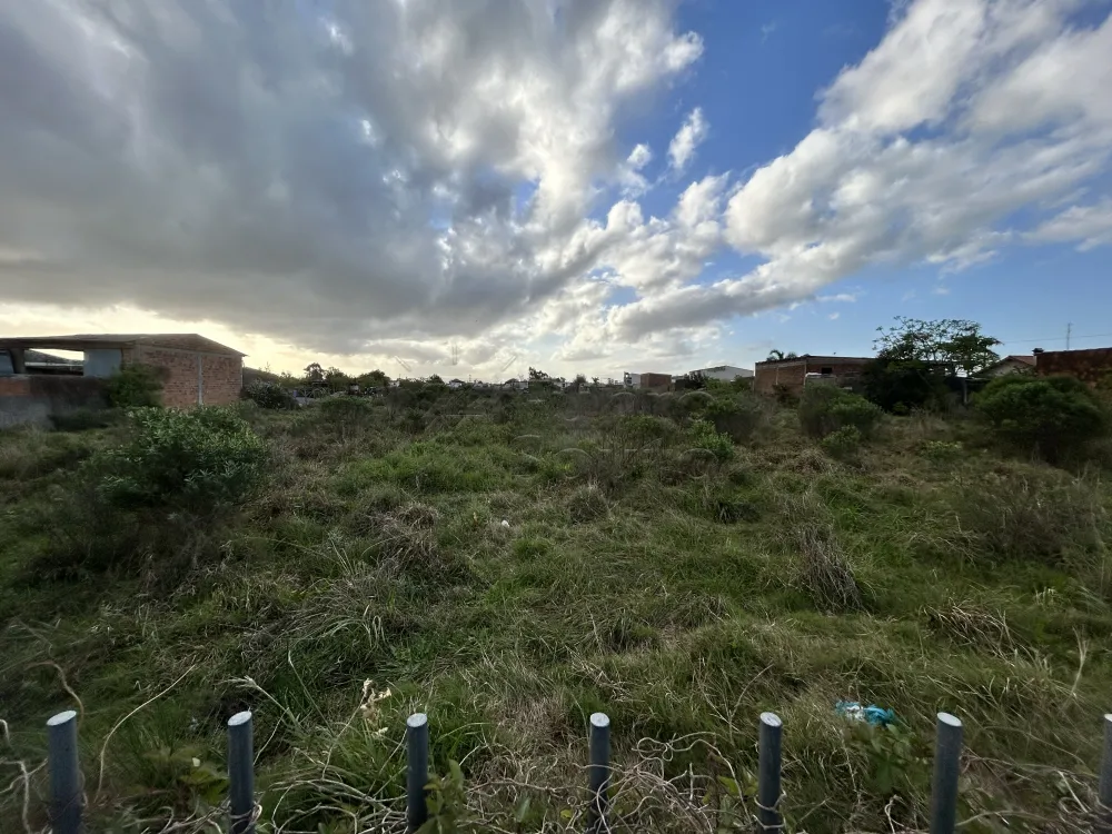 Comprar Terreno / Padr&atilde;o em Pelotas R$ 900.000,00 - Foto 2