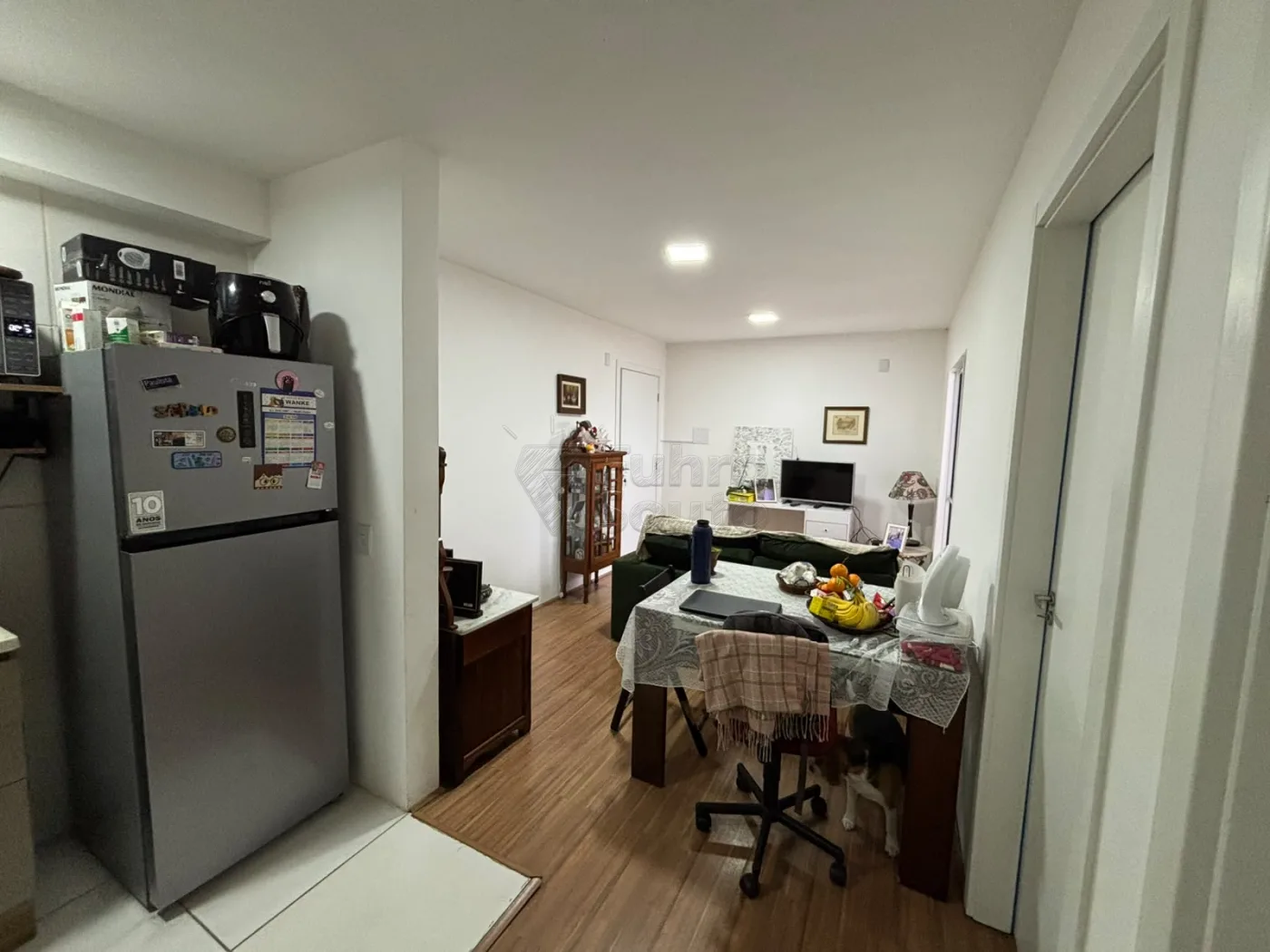 Alugar Apartamento / Padr&atilde;o em Pelotas R$ 1.400,00 - Foto 2