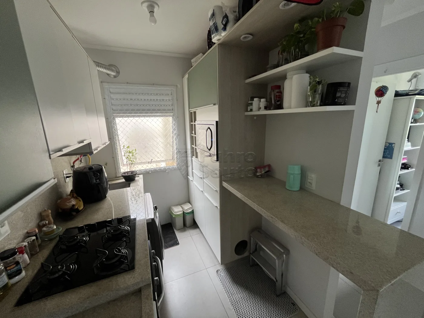 Comprar Apartamento / Padr&atilde;o em Pelotas R$ 249.900,00 - Foto 4