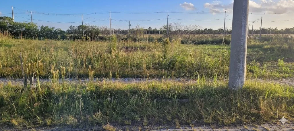 Comprar Terreno / Padr&atilde;o em Pelotas R$ 79.900,00 - Foto 1