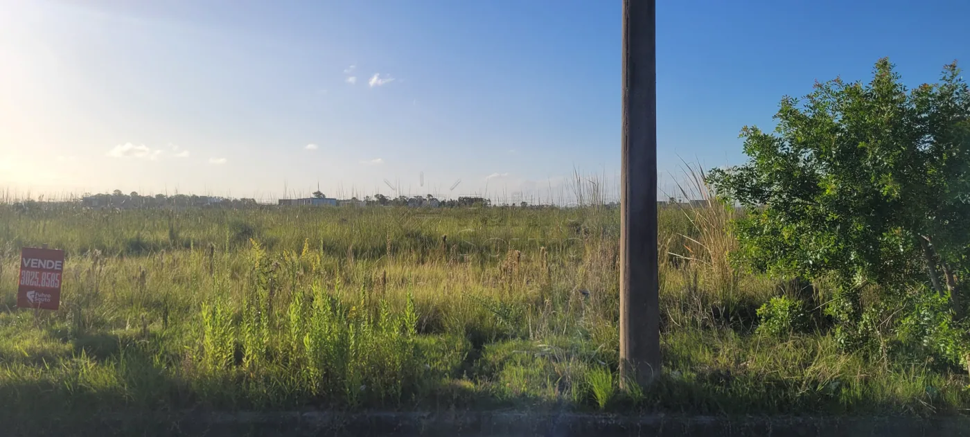 Comprar Terreno / &Aacute;rea em Pelotas R$ 180.000,00 - Foto 1