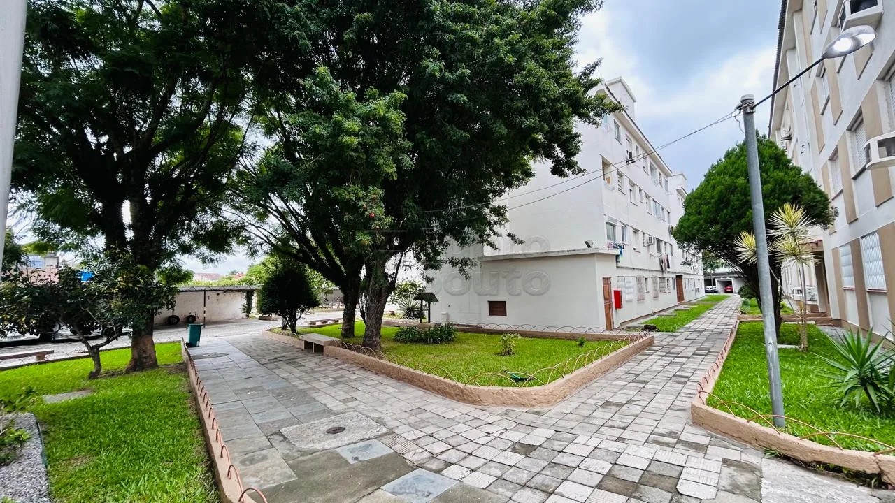Comprar Apartamento / Padr&atilde;o em Pelotas R$ 250.000,00 - Foto 13