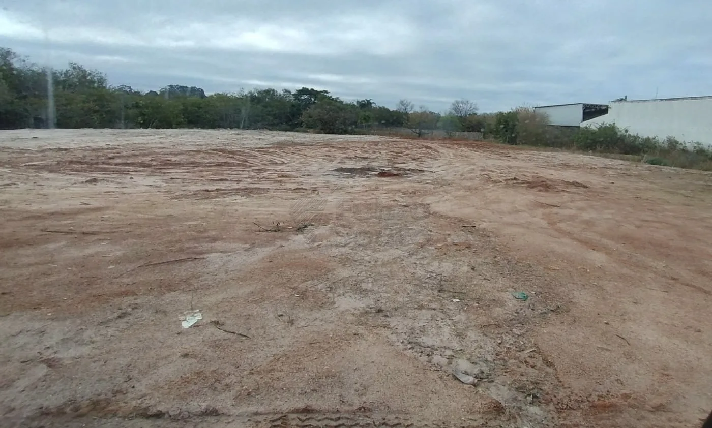 Comprar Terreno / &Aacute;rea em Pelotas R$ 800.000,00 - Foto 1