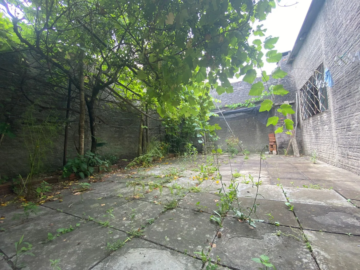 Comprar Casa / Padr&atilde;o em Pelotas R$ 320.000,00 - Foto 9