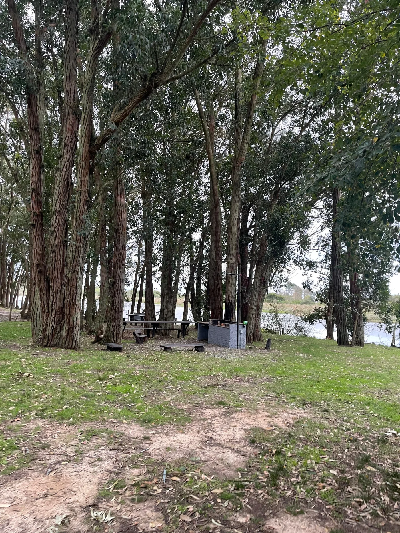 Comprar Terreno / Padr&atilde;o em Pelotas R$ 425.600,00 - Foto 4