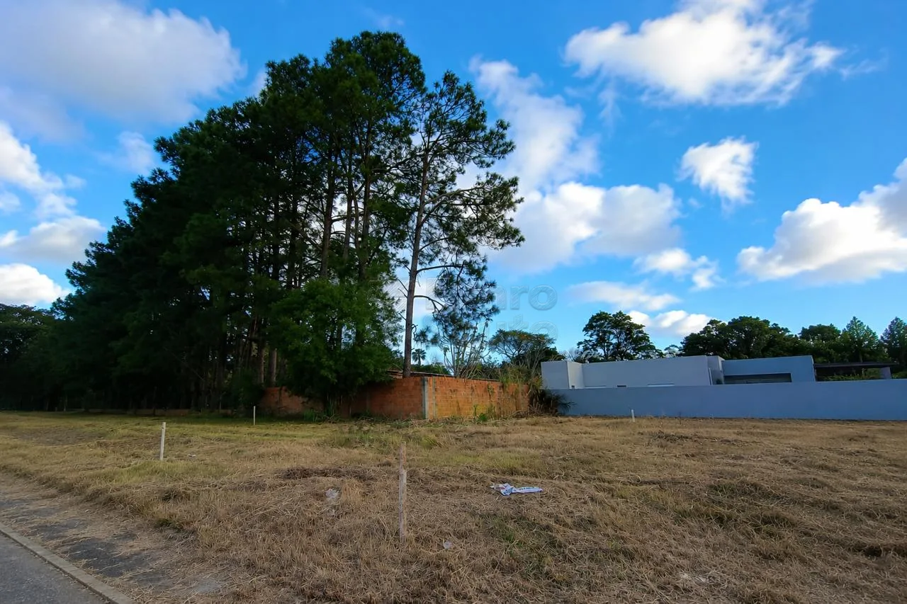 Comprar Terreno / Padr&atilde;o em Pelotas R$ 149.000,00 - Foto 3