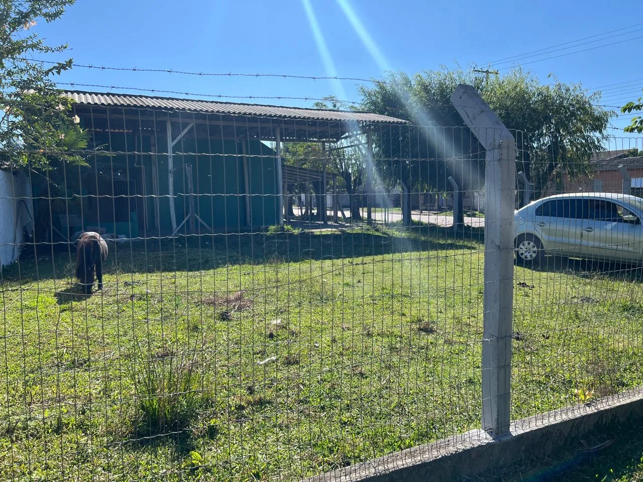 Comprar Comercial / Pr&eacute;dio em Pelotas R$ 450.000,00 - Foto 10