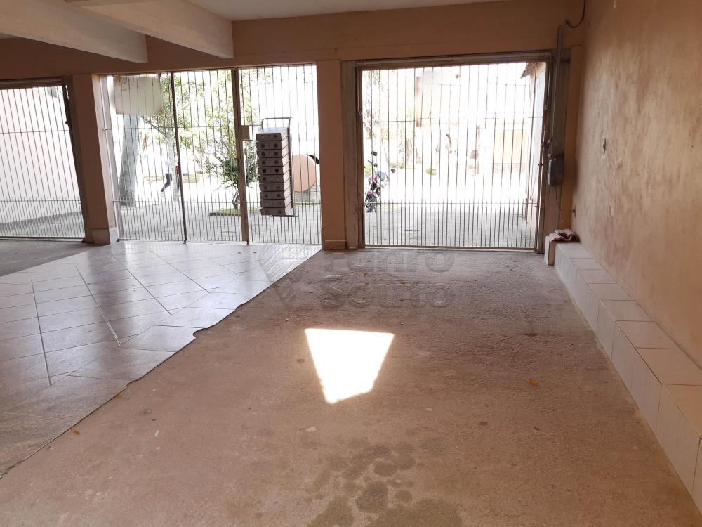 Alugar Apartamento / Padr&atilde;o em Pelotas R$ 800,00 - Foto 27