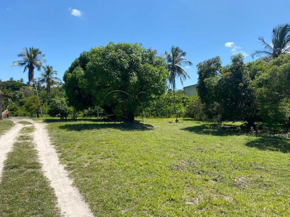 Comprar Rural / S&iacute;tio em Nossa Senhora do Socorro R$ 900.000,00 - Foto 1