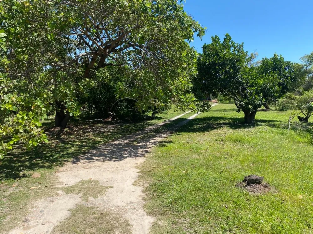 Comprar Rural / S&iacute;tio em Nossa Senhora do Socorro R$ 900.000,00 - Foto 3