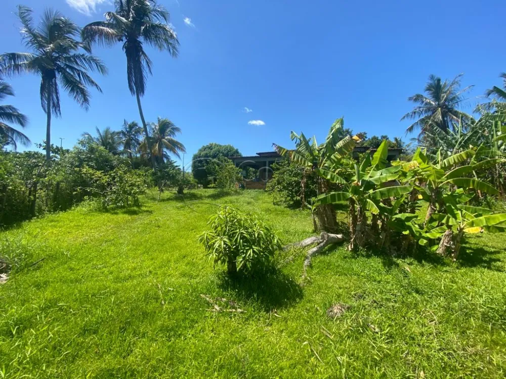 Comprar Rural / S&iacute;tio em Nossa Senhora do Socorro R$ 900.000,00 - Foto 8