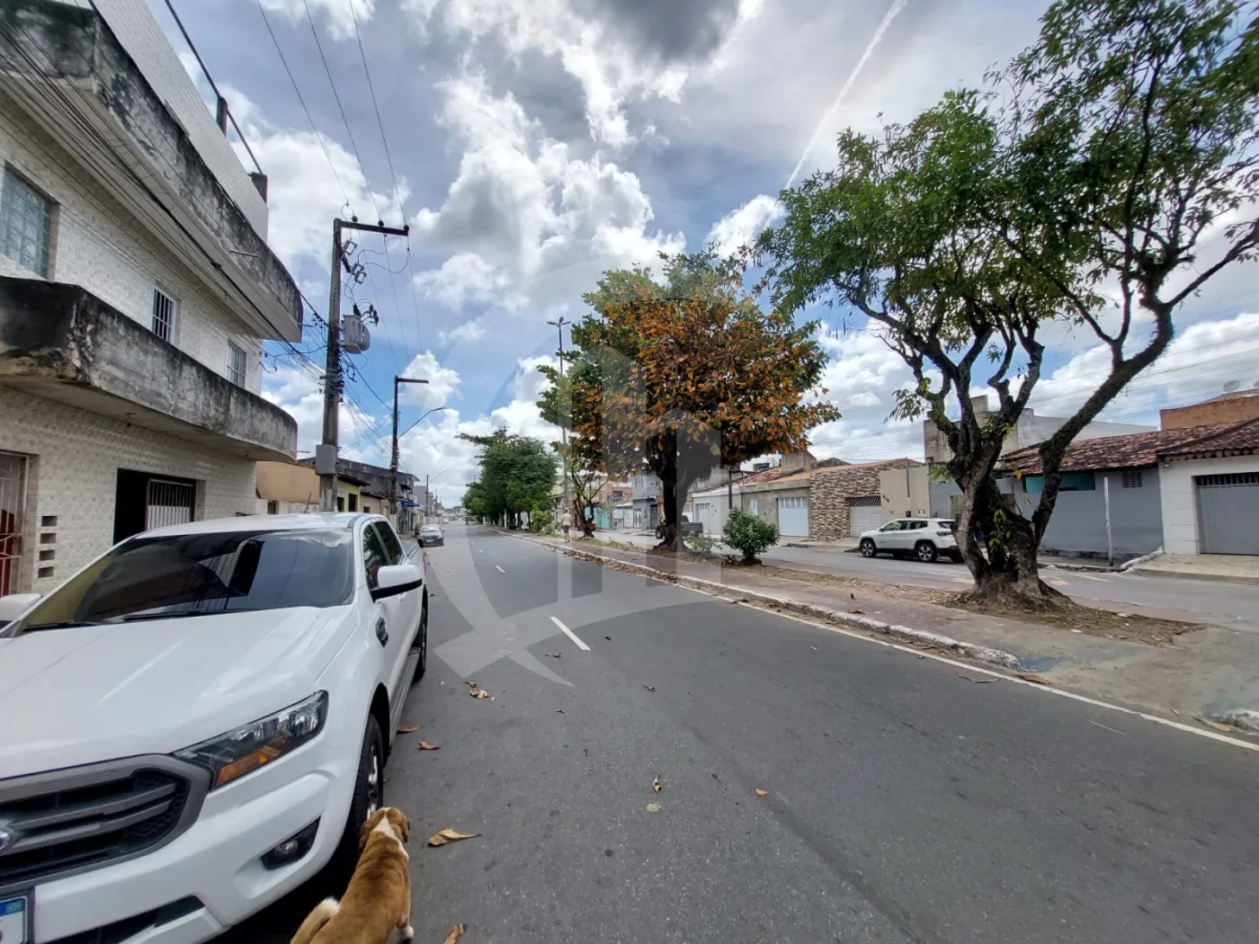 Alugar Comercial / Ponto Comercial em Nossa Senhora do Socorro R$ 1.000,00 - Foto 6