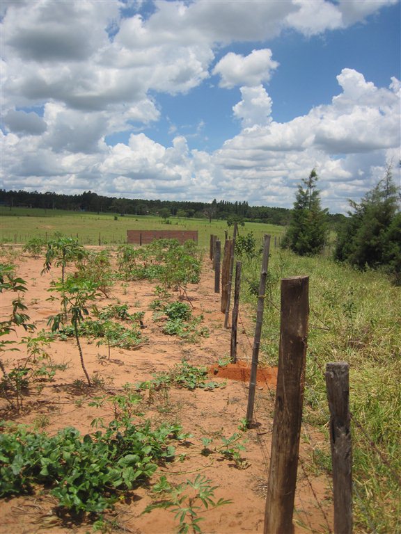 Rural / Ch&aacute;cara em Ribeir&atilde;o Bonito , Comprar por R$250.000,00
