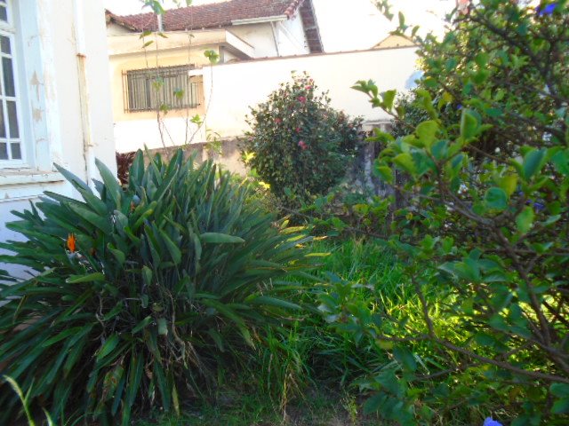 Casa / Padr&atilde;o em S&atilde;o Carlos 