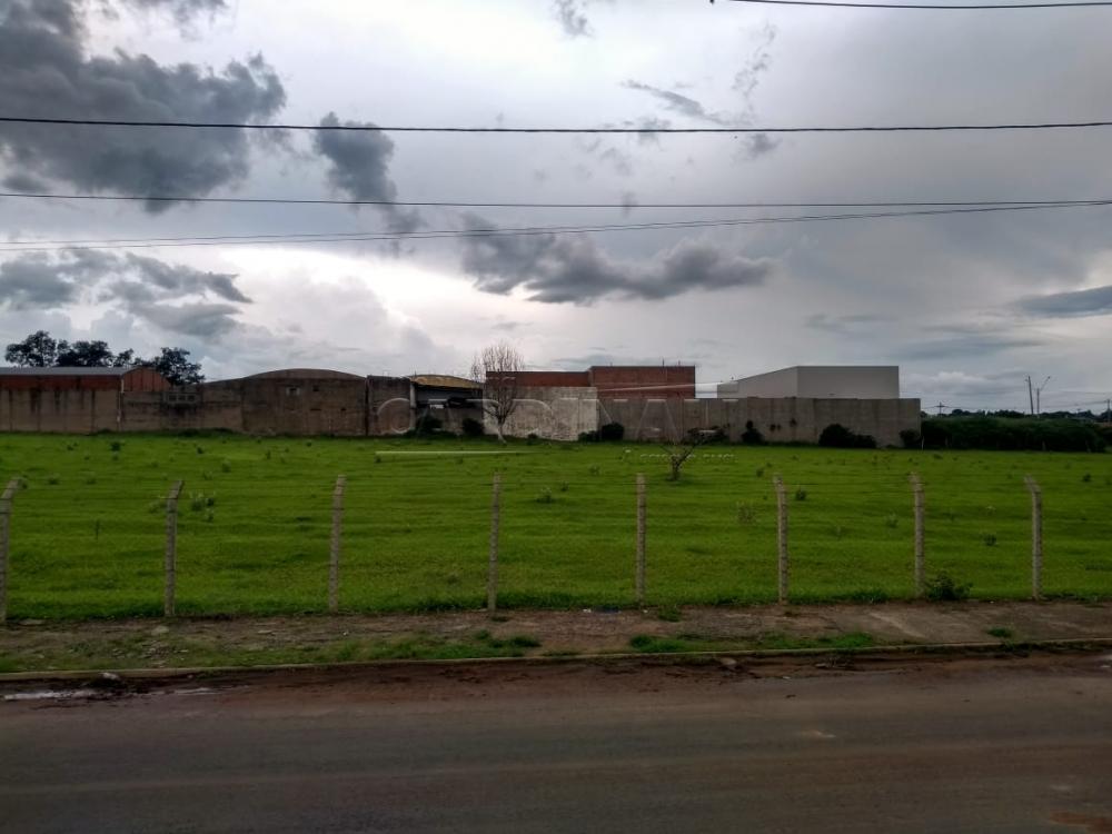 Comprar Rural / &Aacute;rea em Dois C&oacute;rregos R$ 1.949.000,00 - Foto 1