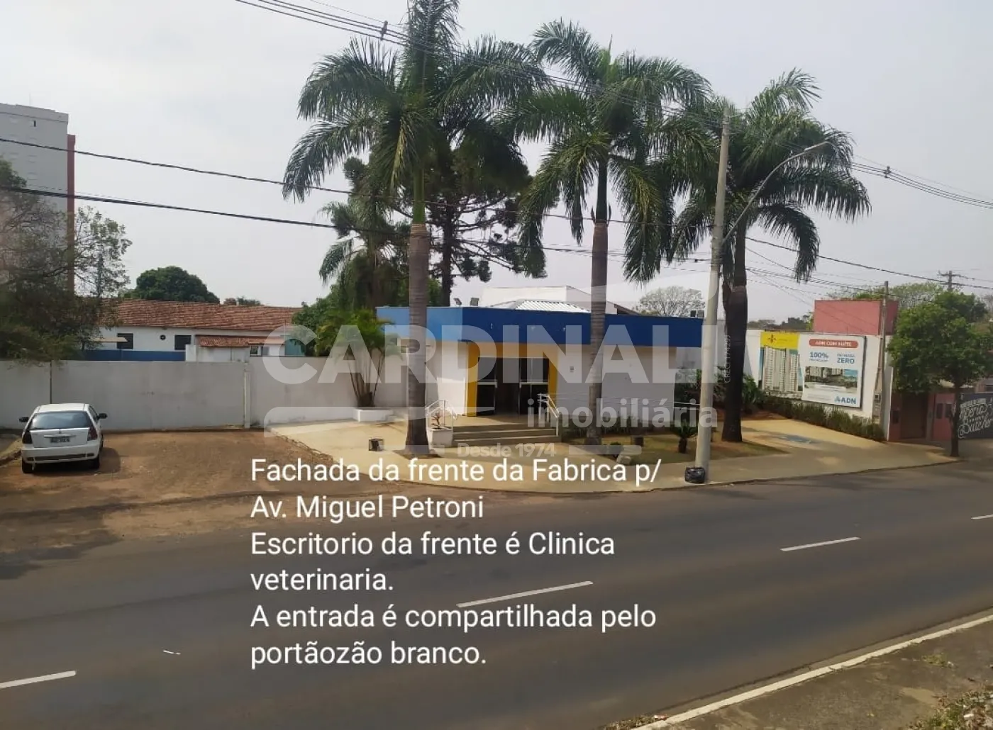 Casa / Padr&atilde;o em S&atilde;o Carlos Alugar por R$17.778,00