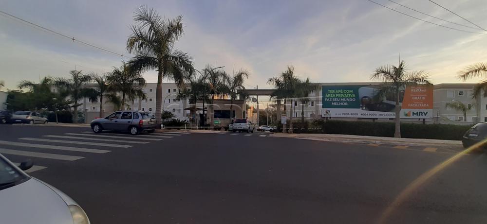 Alugar Apartamento / Padr&atilde;o em S&atilde;o Carlos R$ 889,00 - Foto 1