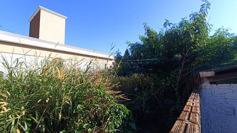 Comprar Casa / Padr&atilde;o em S&atilde;o Carlos R$ 532.000,00 - Foto 19