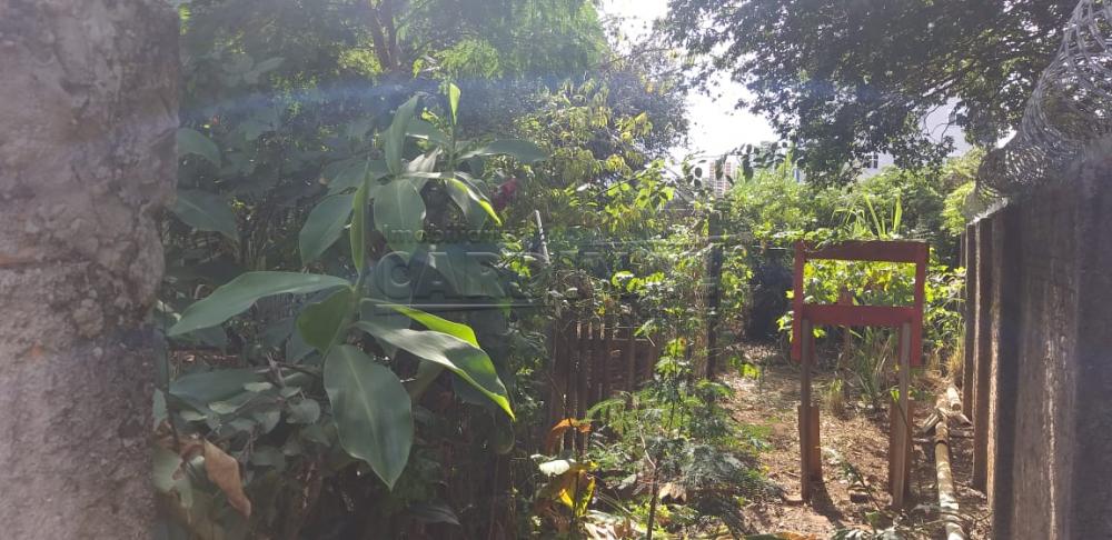 Comprar Casa / Padr&atilde;o em S&atilde;o Carlos R$ 532.000,00 - Foto 7