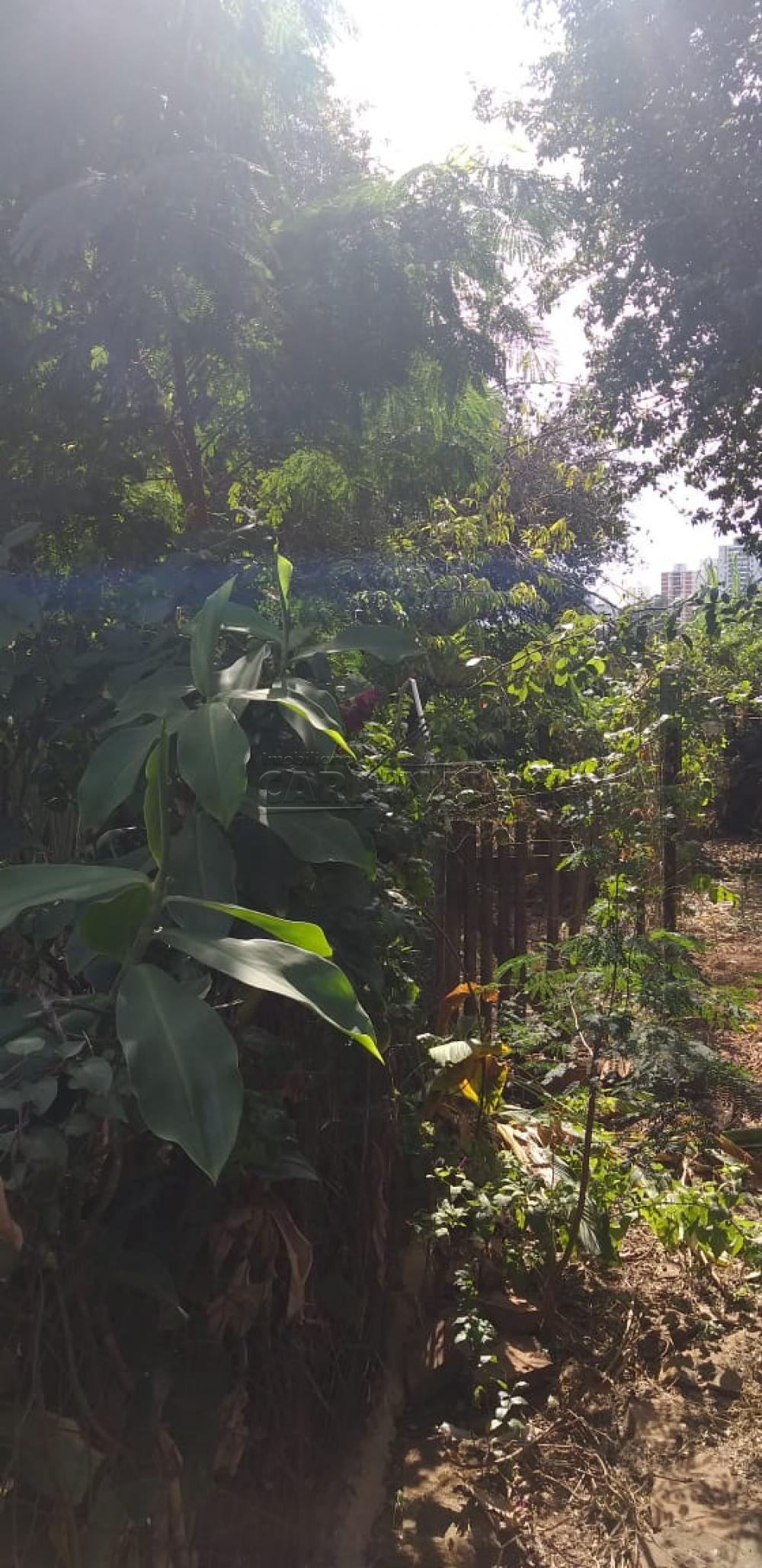 Comprar Casa / Padr&atilde;o em S&atilde;o Carlos R$ 532.000,00 - Foto 9