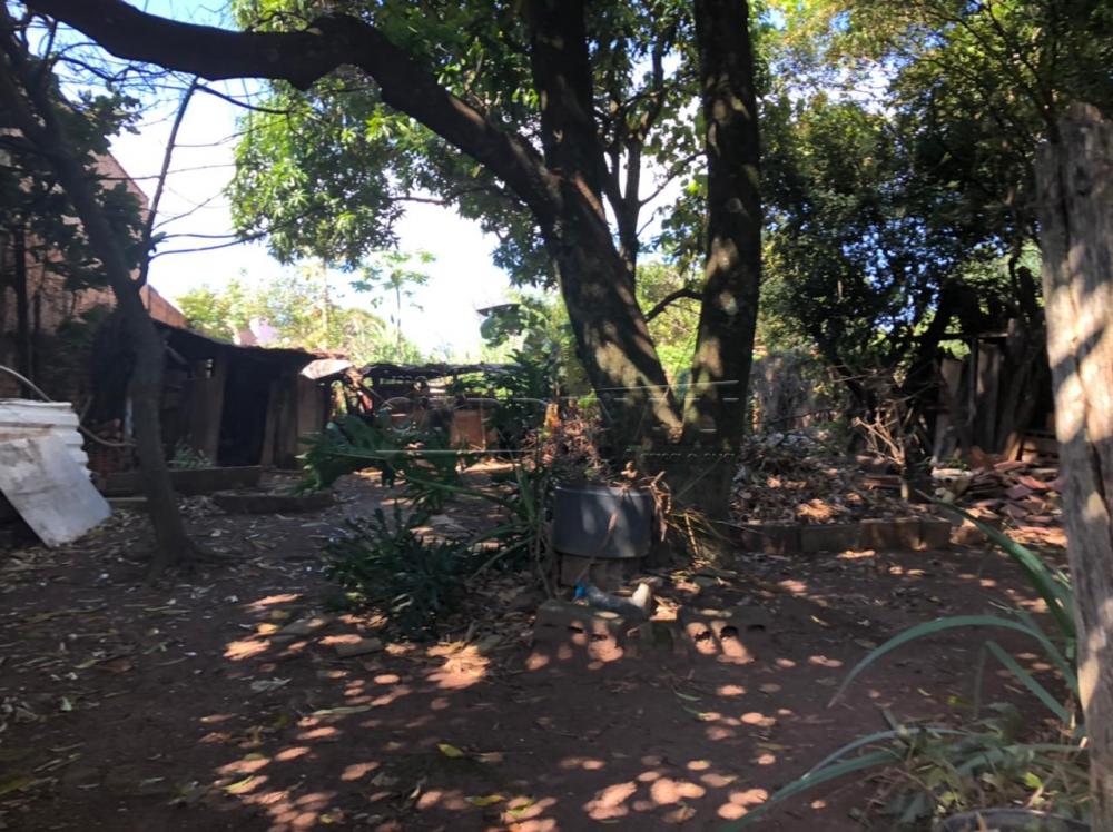 Comprar Casa / Padr&atilde;o em S&atilde;o Carlos R$ 960.000,00 - Foto 8