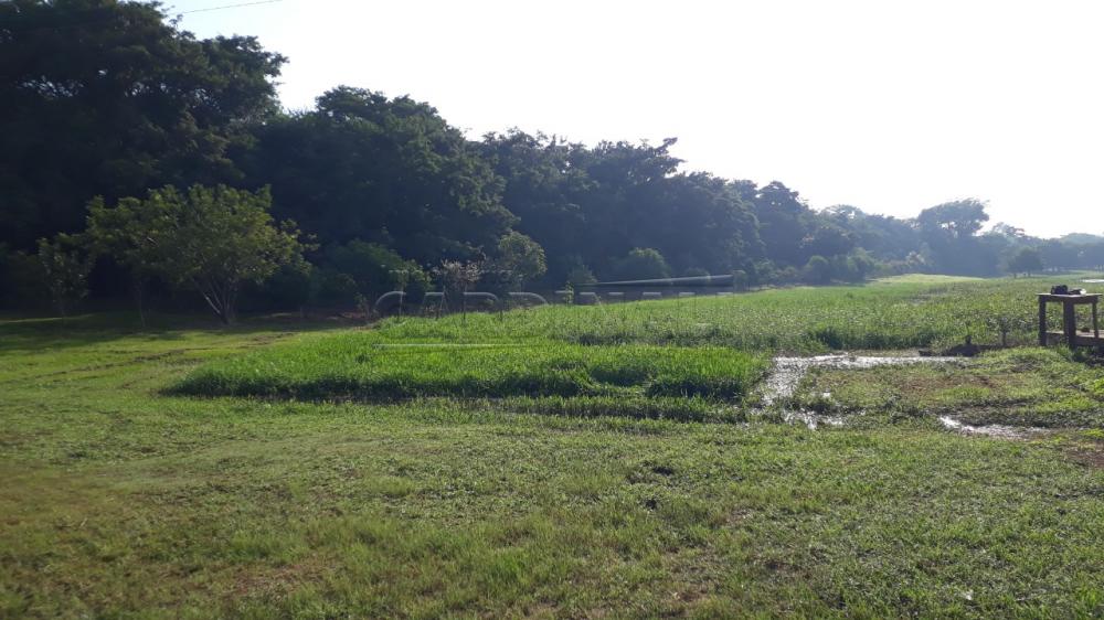 Comprar Rural / Ch&aacute;cara com Condom&iacute;nio em Borborema R$ 795.000,00 - Foto 31