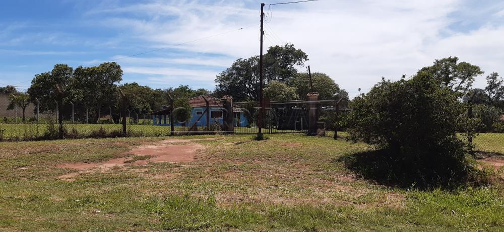Rural / Ch&aacute;cara em S&atilde;o Carlos Alugar por R$2.556,00