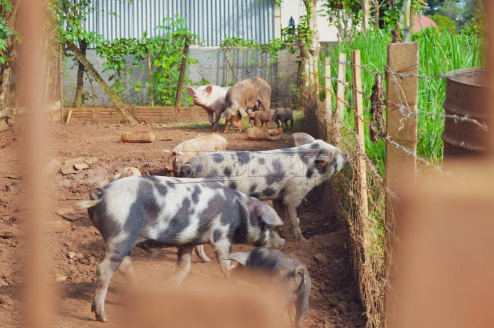 Alugar Rural / Ch&aacute;cara sem Condom&iacute;nio em S&atilde;o Carlos R$ 33.000,00 - Foto 4