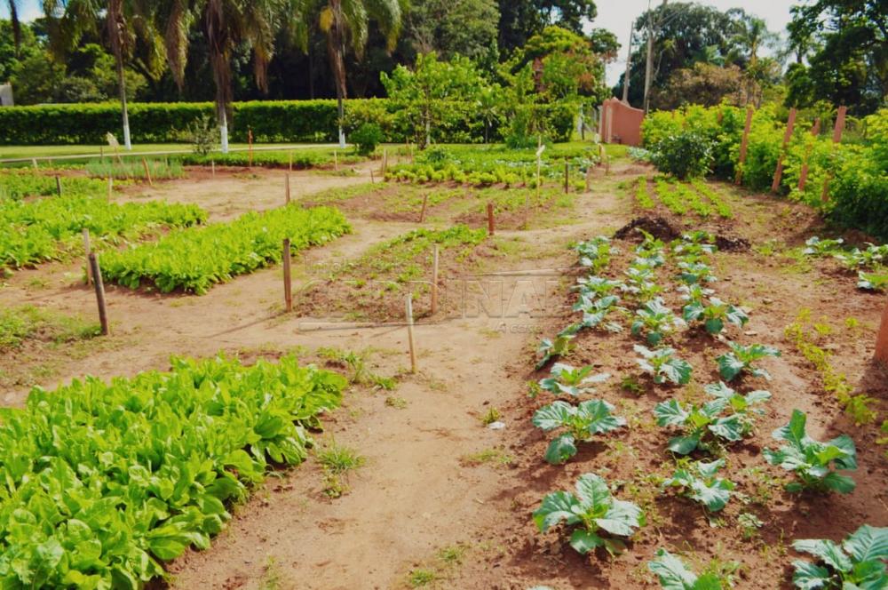 Alugar Rural / Ch&aacute;cara sem Condom&iacute;nio em S&atilde;o Carlos R$ 33.000,00 - Foto 7