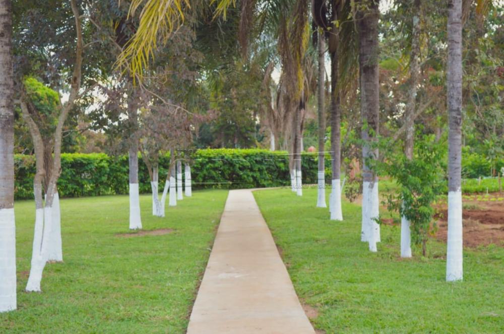 Alugar Rural / Ch&aacute;cara sem Condom&iacute;nio em S&atilde;o Carlos R$ 33.000,00 - Foto 8