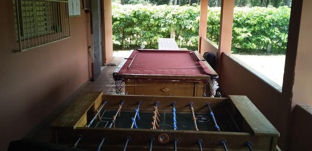 Alugar Rural / Ch&aacute;cara sem Condom&iacute;nio em S&atilde;o Carlos R$ 33.000,00 - Foto 9