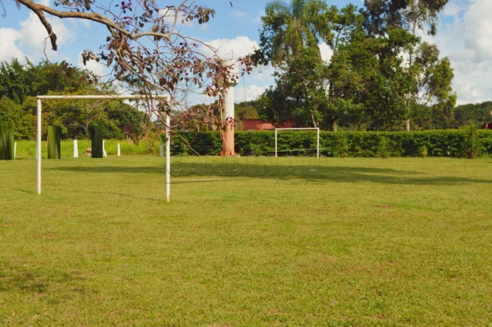 Alugar Rural / Ch&aacute;cara sem Condom&iacute;nio em S&atilde;o Carlos R$ 33.000,00 - Foto 16