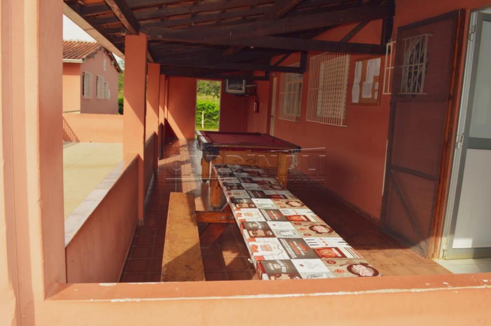 Alugar Rural / Ch&aacute;cara sem Condom&iacute;nio em S&atilde;o Carlos R$ 33.000,00 - Foto 19