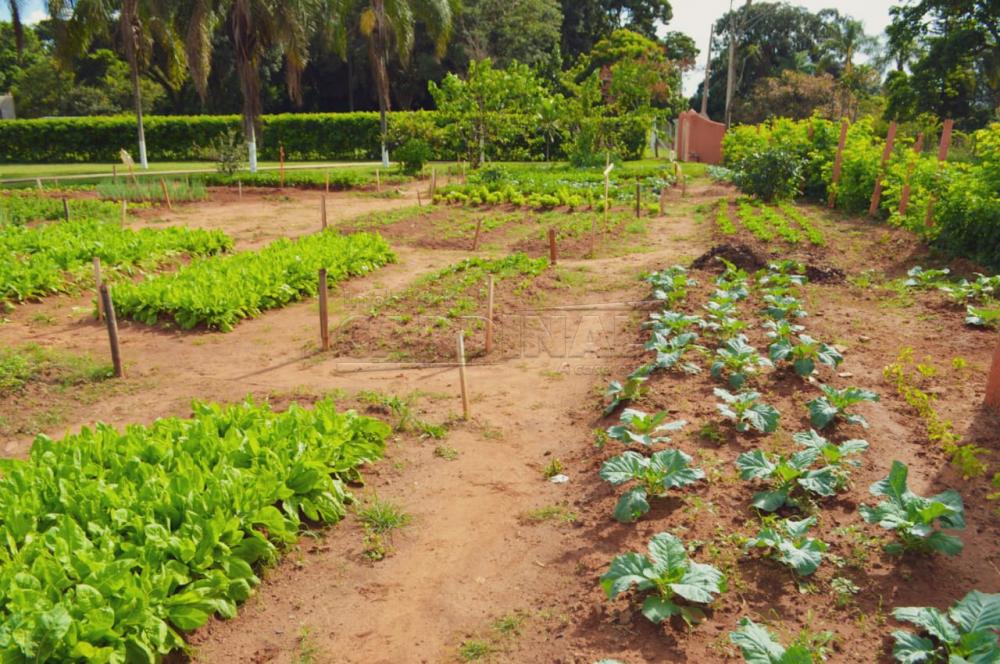 Alugar Rural / Ch&aacute;cara sem Condom&iacute;nio em S&atilde;o Carlos R$ 33.000,00 - Foto 21