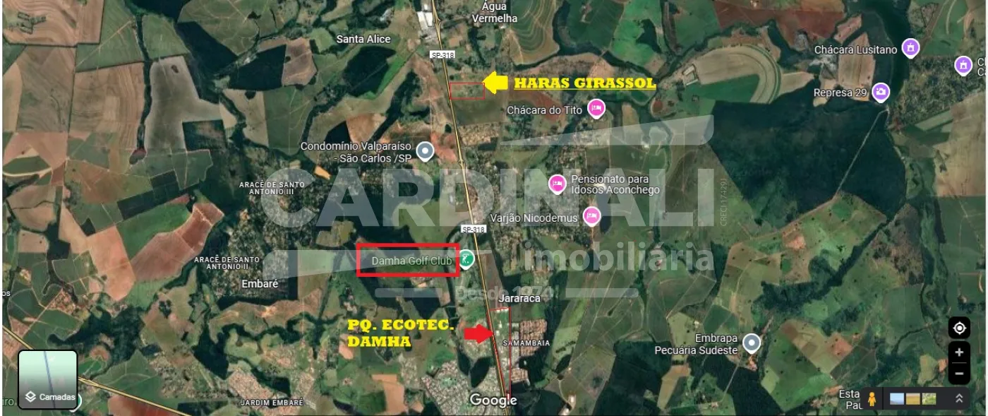 Rural / Sítio em São Carlos , Comprar por R$6.890.000,00