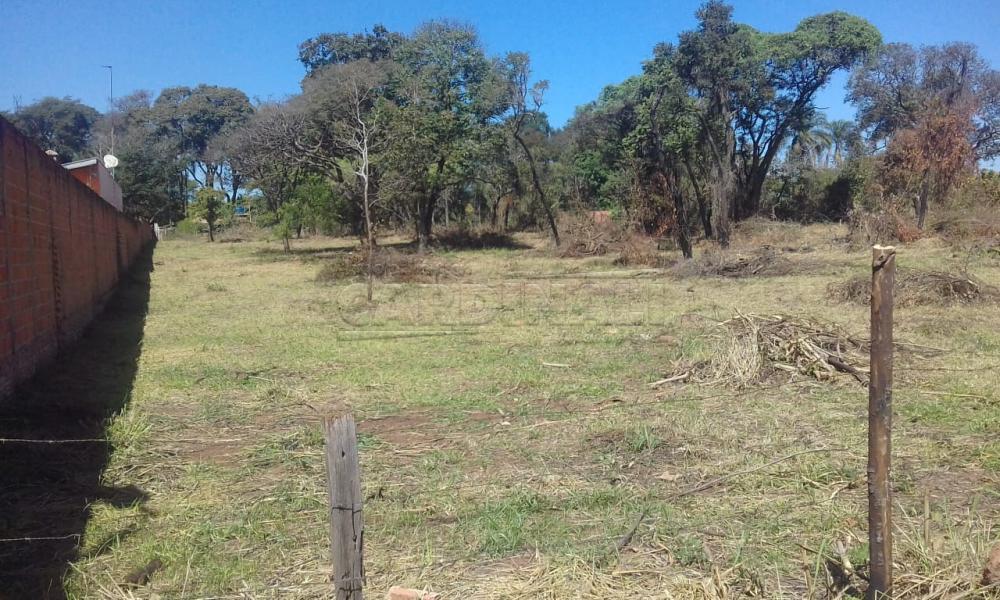 São Carlos Rural Venda R$250.000,00  - foto 2