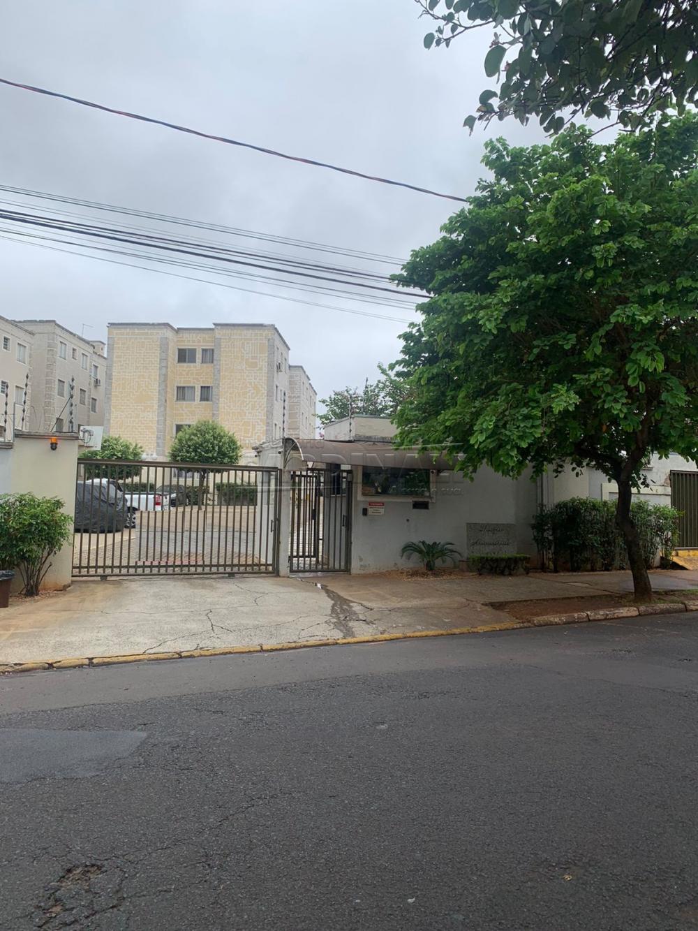 Apartamento / Padr&atilde;o em Araraquara Alugar por R$850,00