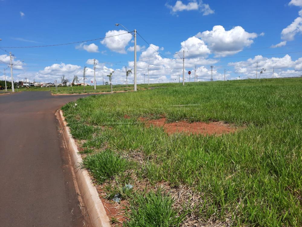 Terreno / &Aacute;rea em S&atilde;o Carlos 