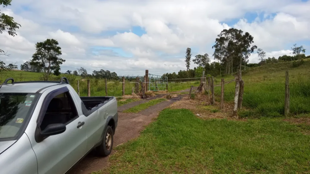 Rural / &Aacute;rea em S&atilde;o Carlos , Comprar por R$820.000,00