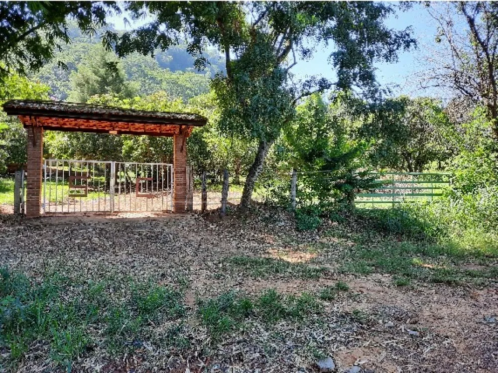 Rural / S&iacute;tio em Ribeir&atilde;o Bonito 