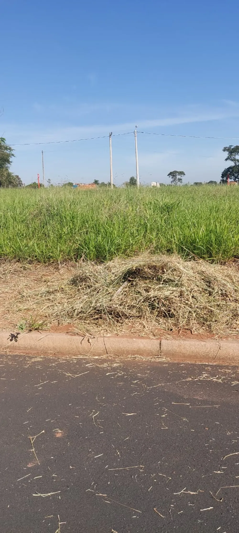 Terreno / Padr&atilde;o em &Aacute;gua Vermelha 