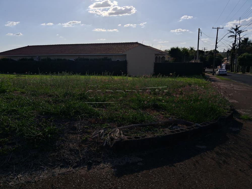 Alugar Comercial / Terreno em Araraquara R$ 25.000,00 - Foto 3