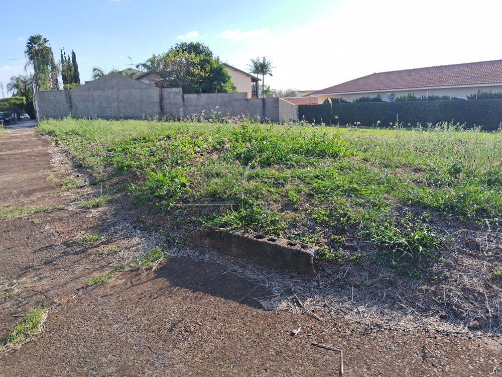 Alugar Comercial / Terreno em Araraquara R$ 25.000,00 - Foto 4