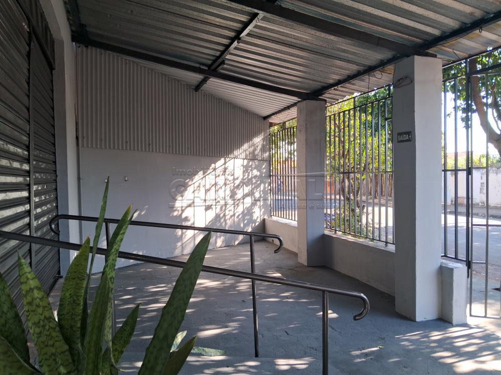 Alugar Comercial / Sal&atilde;o em Araraquara R$ 700,00 - Foto 3