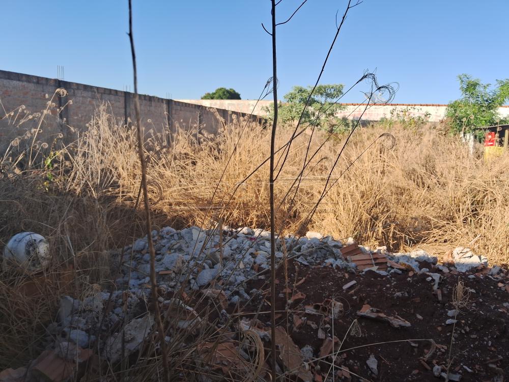 Comprar Comercial / Terreno em Araraquara R$ 220.000,00 - Foto 3